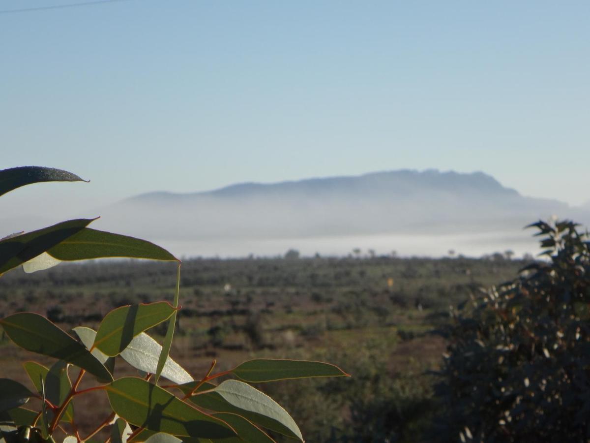 Windana Cottages Hawker Buitenkant foto